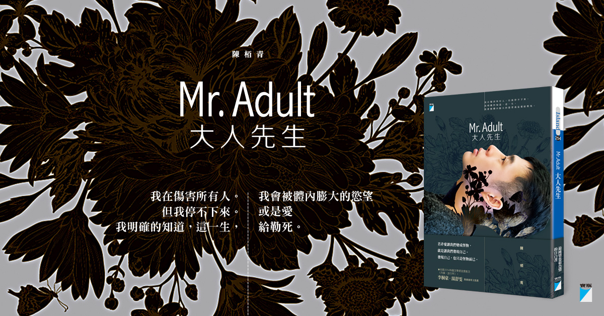 《Mr. Adult 大人先生》:時間與抵達之謎