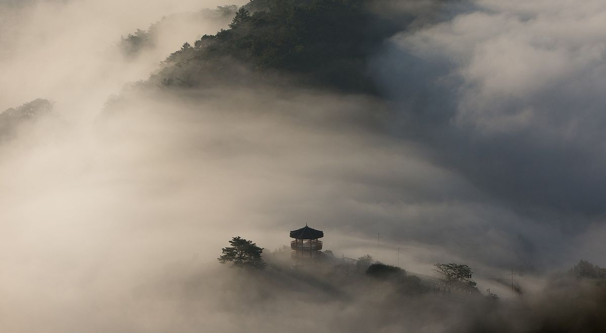 【祁立峰讀古文撞到鄉民】老爸作春夢,兒子也想要!──〈神女賦〉裡的巫山雲雨