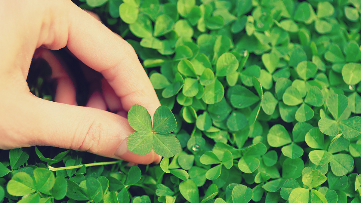 小確幸」的英文該怎麼說？ - Readmoo閱讀最前線