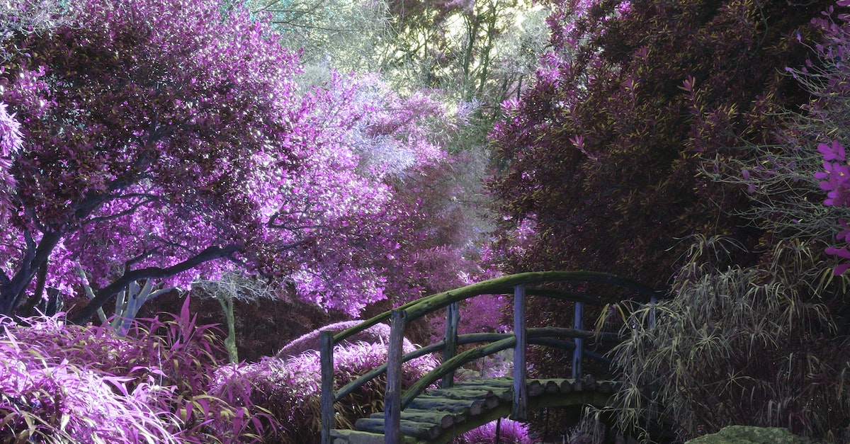 科幻十年,宮部美幸的變與不變