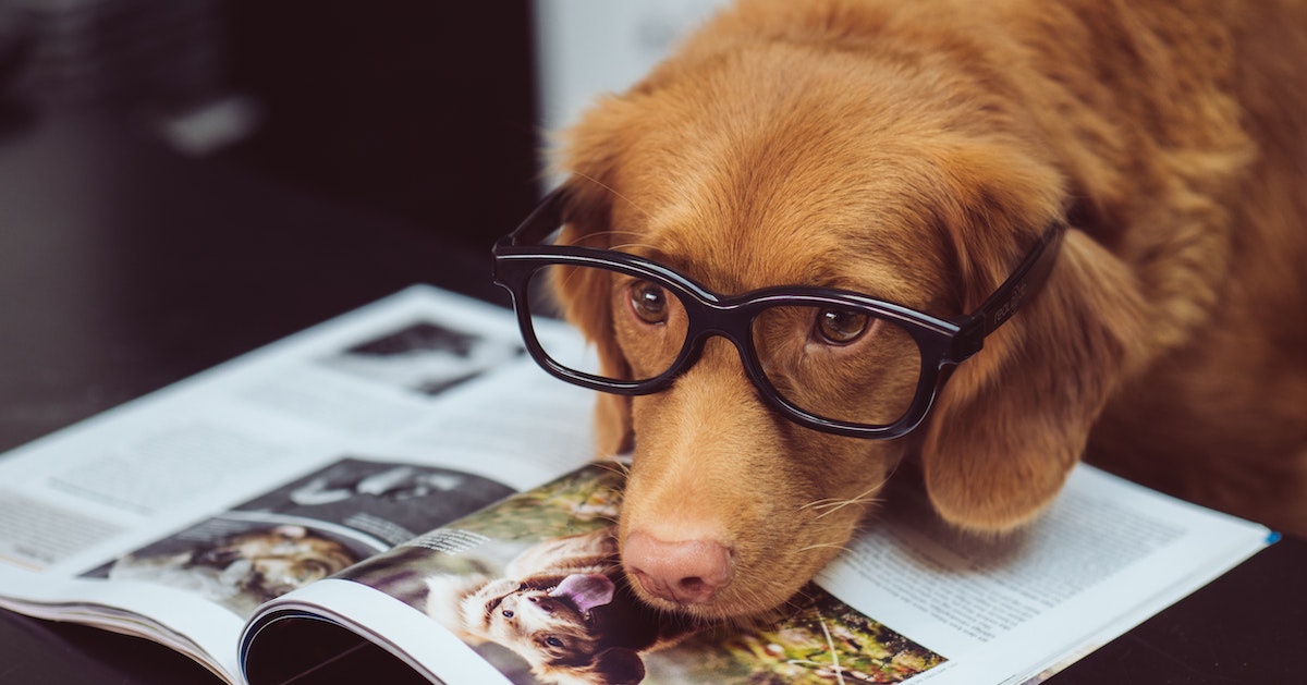 【犢叔扭扭】還有這些地方可以買到 Readmoo 讀墨電子書、體驗 mooInk 系列~