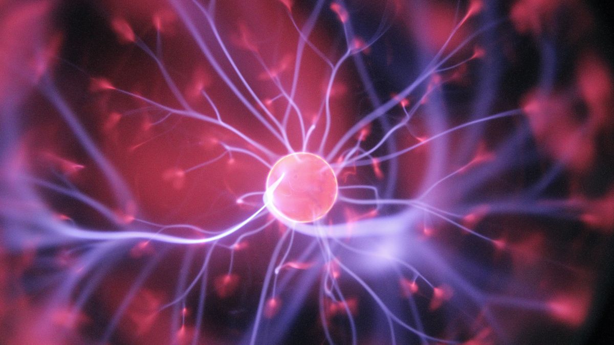 【GENE思書軒】第六感?小宇宙?其實你不當聖鬥士也有三十幾感啊!