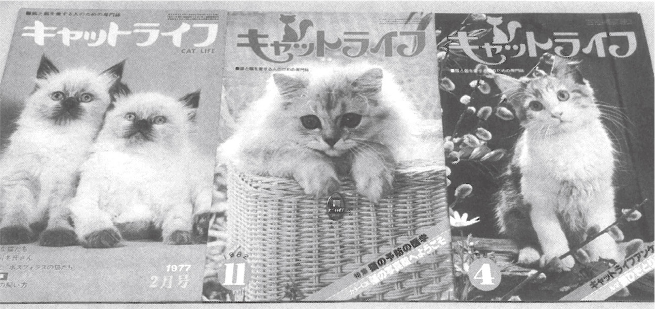 圖36 《Cat Life》雜誌。這份雜誌最早刊載許多攝影作品,第8期起將尺寸改成A4大小的俱樂部雜誌風格(以前是B5大小),成為更加重視視覺的雜誌。