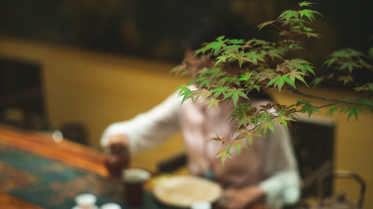 【果子離群索書】聊的是詩,卻時而像推理,時而像武俠