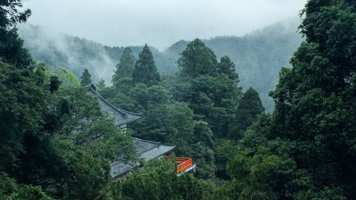 【讀者舉手】每個人都有屬於自己的「絕地通天」──讀《絕地通天》