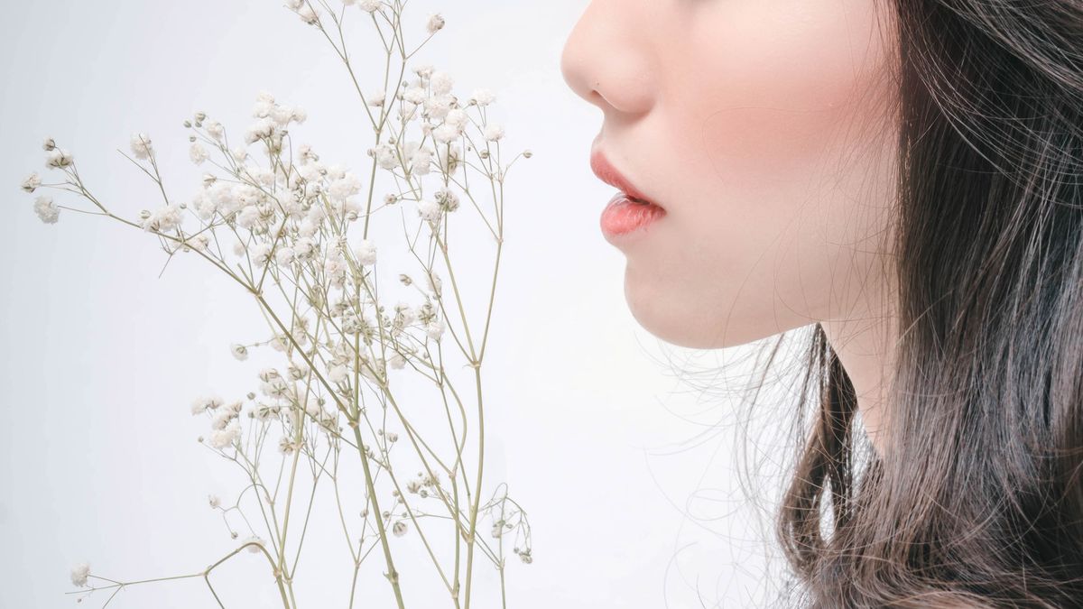 【讀者舉手】人間仍有和煦光輝:《茶室女人心》