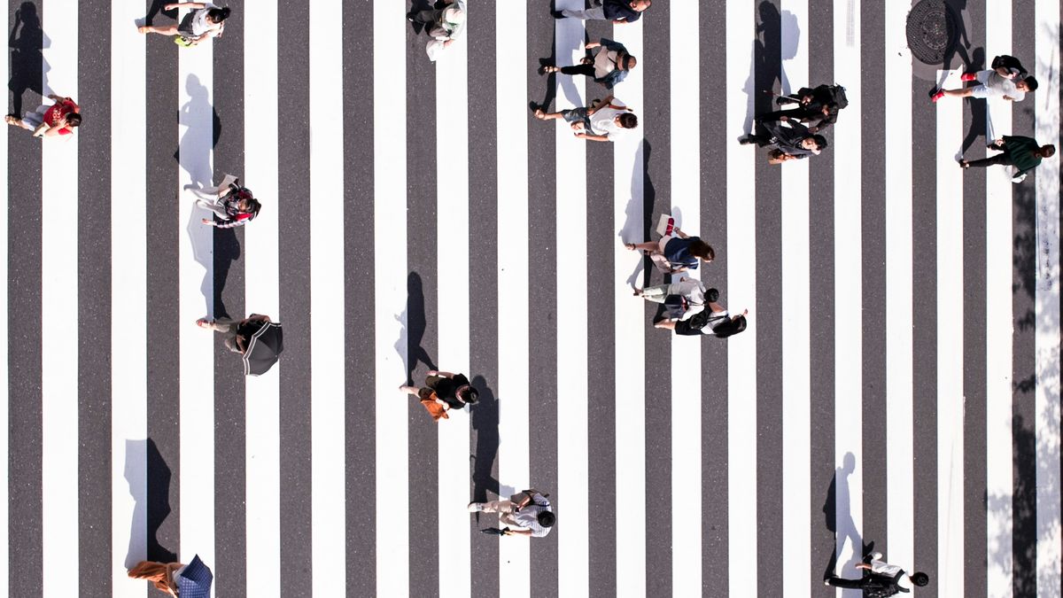 【讀者舉手】安定內心漂浮的浮萍──讀《找到你的維他命人》