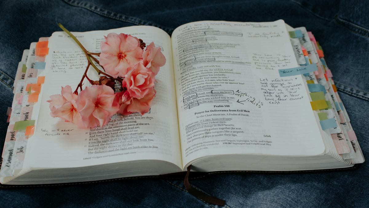 【閱讀夏LaLa】一流的人讀書,都在哪裡畫線?