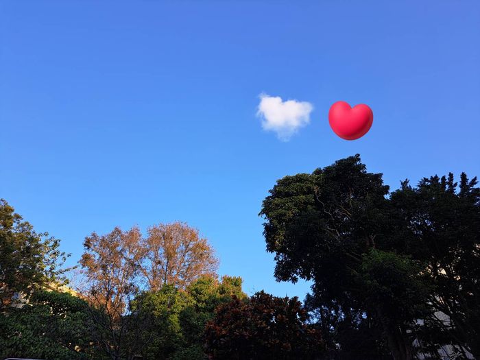 【雲門教室動起來讀】《就是走路》:走出去!感受一切