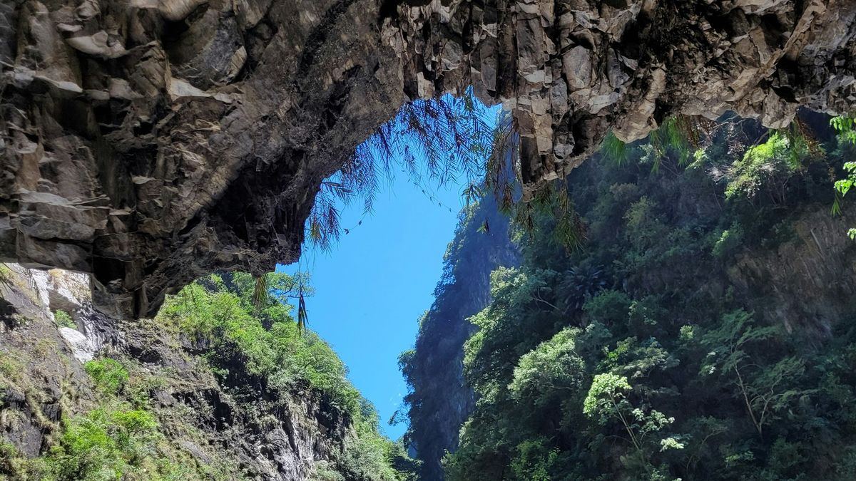 【布克新聞】S5EP33:沿著民主進程爬梳台灣本土教育 ft.李川信老師