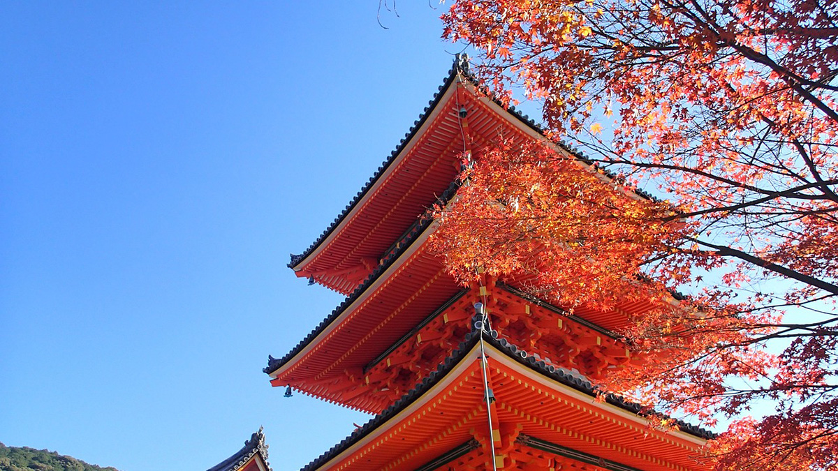 秋日的京都,別有一番「楓」味