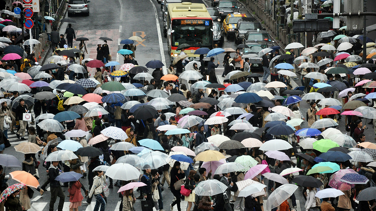 雨天攜帶折傘:再也不會忘記帶走或忘在車上