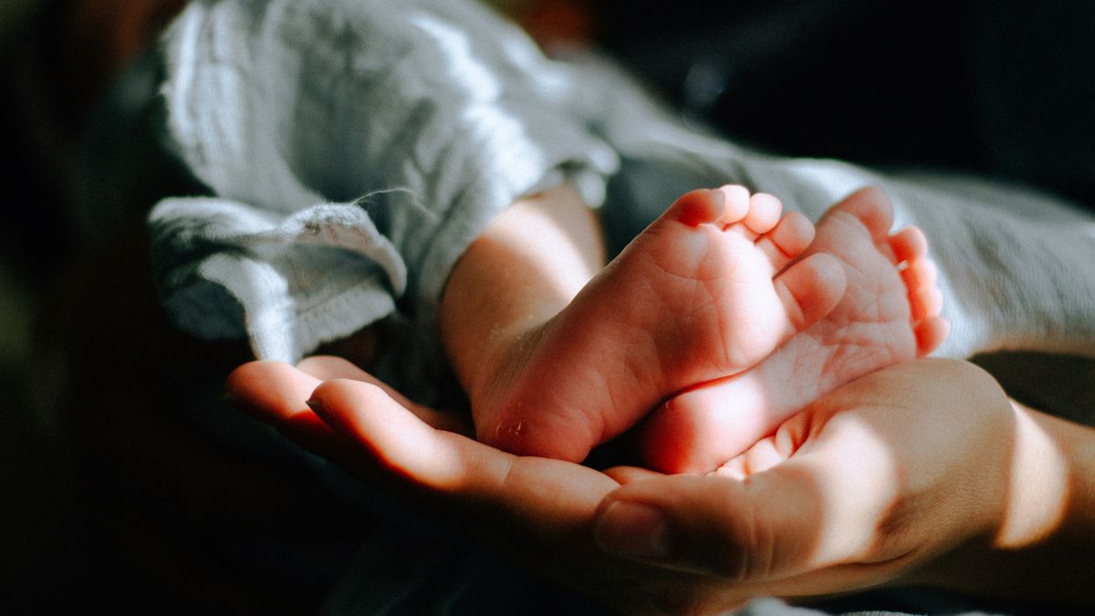 【朱家安不要偷懶了】代孕可以解決少子化和女性困境,對吧?