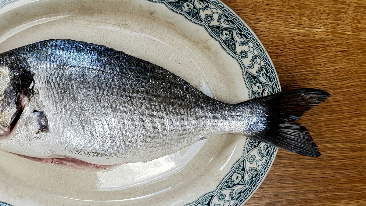 鮮魚達人判斷標準:新鮮直挺挺