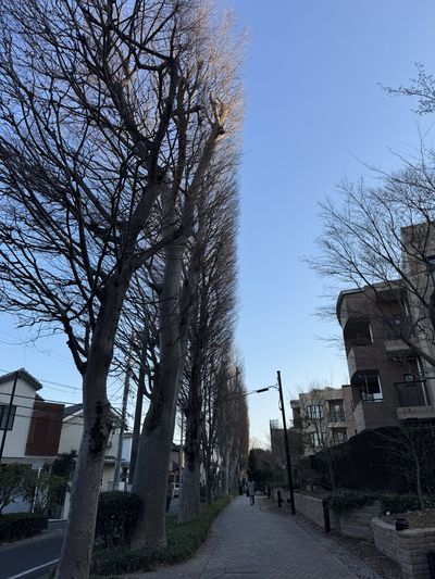 【Check-In文學現場】松本清張篇之四(下):《半生記》和《松本清張短篇傑作選》