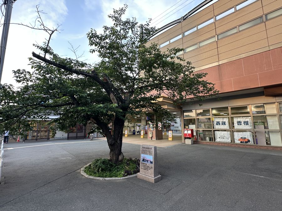 【Check-In文學現場】松本清張篇之五:《點與線》
