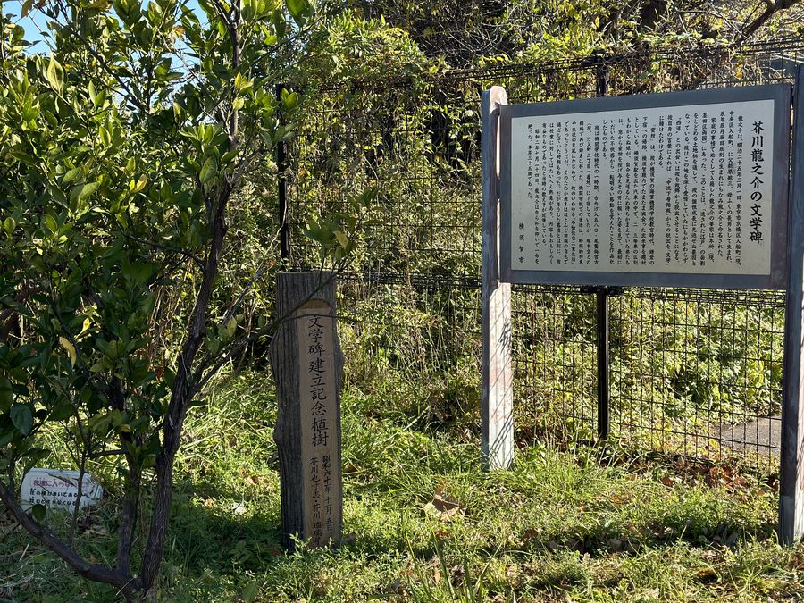 【Check-In文學現場】芥川龍之介篇之三(上)〈大導寺信輔的半生〉、〈蜜柑〉、〈某阿呆的一生〉