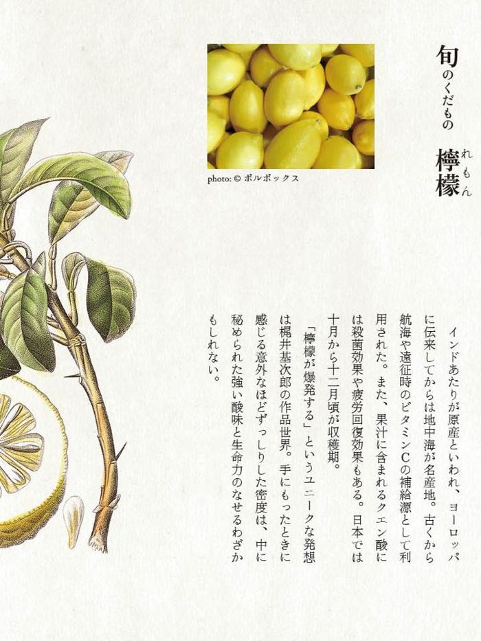 【Check-In文學現場】番外篇之三「八重洲、日本橋的書店」