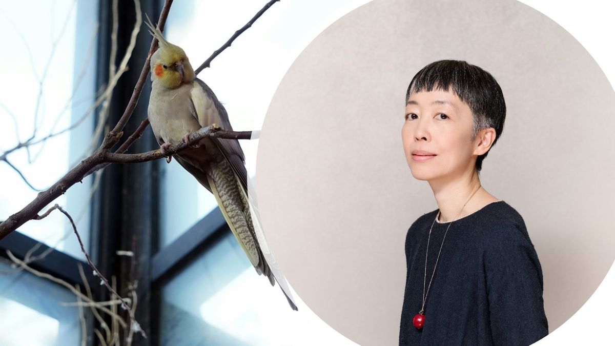 小川糸談《緞帶》：生離、死別，都是一份展翅重生的禮物