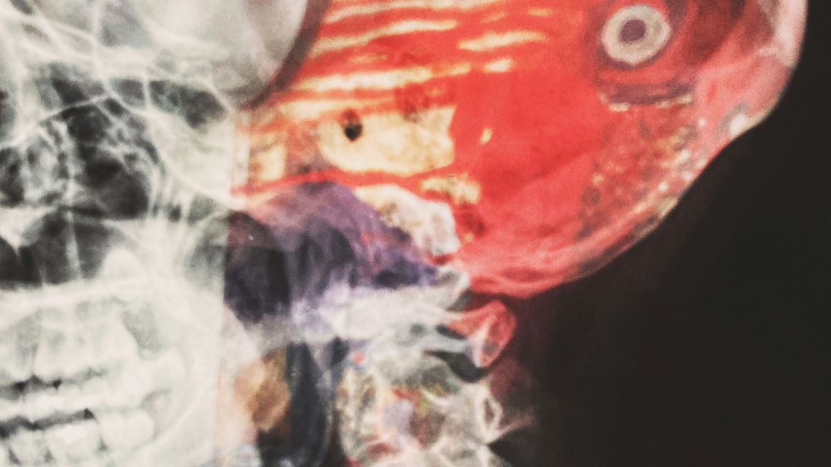 【讀者舉手】連環殺人魔之女追查連環殺人案!《拿著手術刀的獵人》