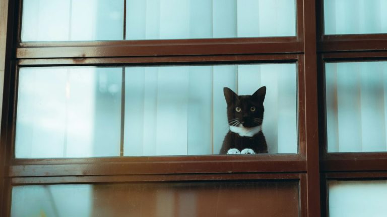 【犢叔扭扭】2026年，你和想找的那本書愈來愈近！