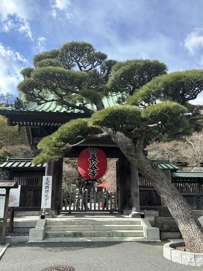 【Check-In文學現場】川端康成篇之一（下）《淺草紅團》、《千羽鶴》、《睡美人》：從大阪到逗子，「永遠的旅人」川端康成生涯之旅