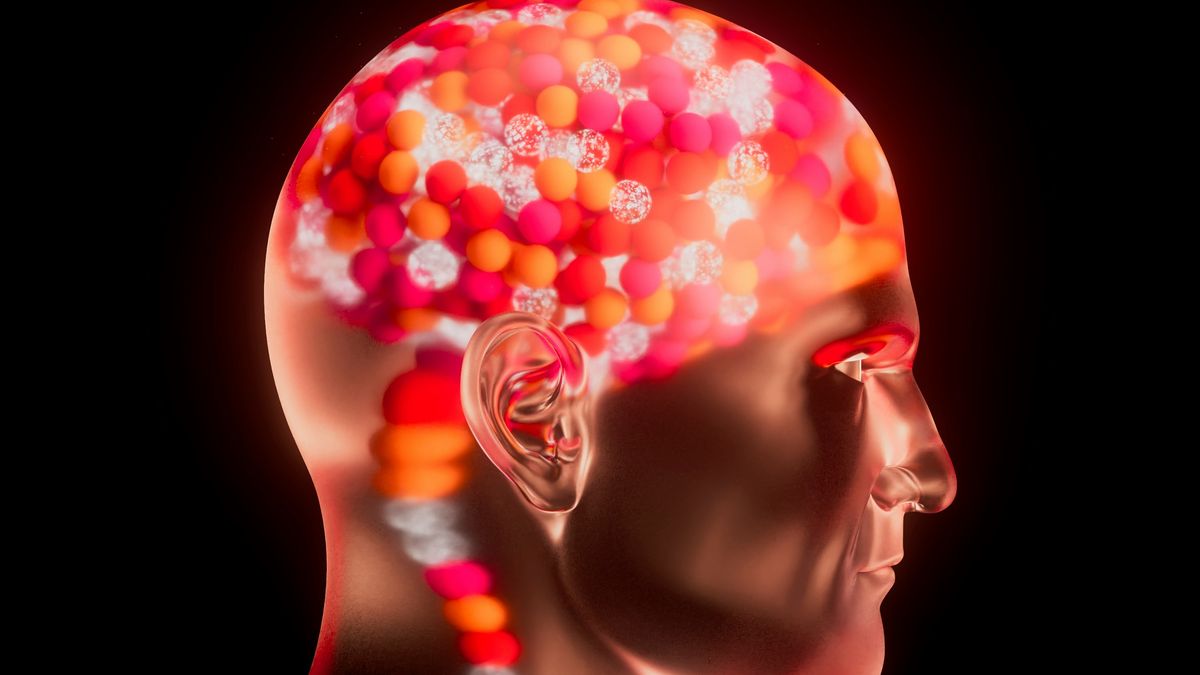 【讀者舉手】「覺醒老化」的心理革命──《60歲開始越活越聰明!》