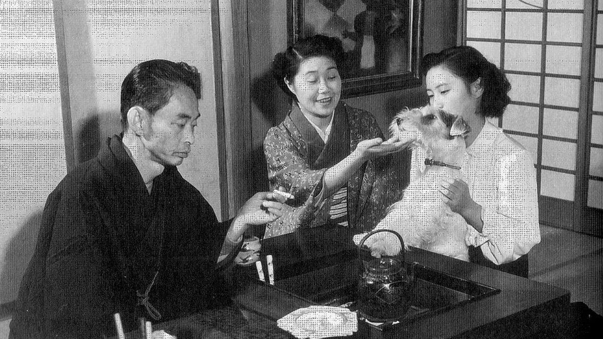 【Check-In文學現場】川端康成篇之二《伊豆的舞孃》(下):翻越天城嶺,擁抱溫暖的南國人情