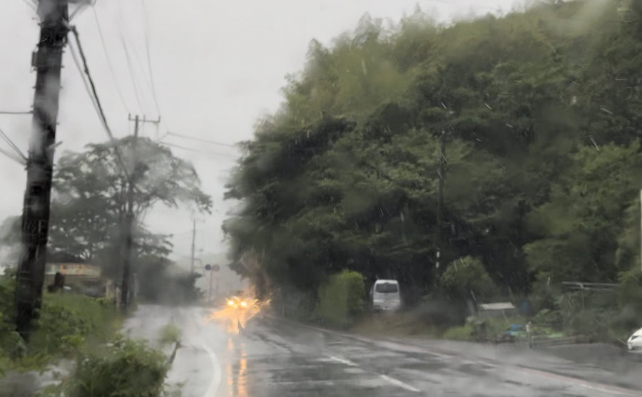 【Check-In文學現場】川端康成篇之二《伊豆的舞孃》(下):翻越天城嶺,擁抱溫暖的南國人情