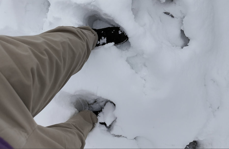 【Check-In文學現場】川端康成篇之三《雪國》(中):雙蝶交纏,愛無能的悲傷與悔恨