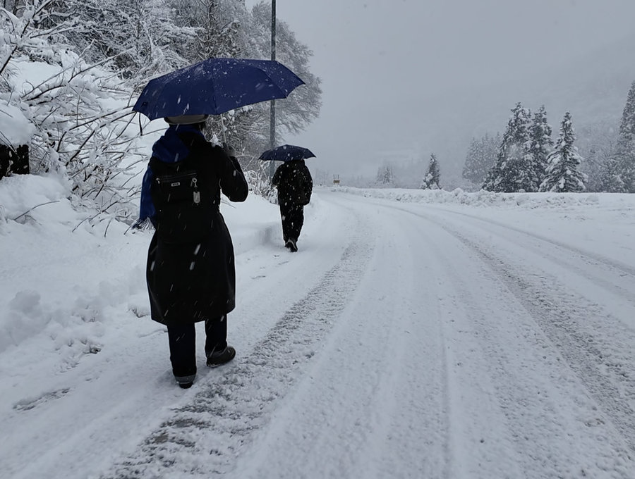 【Check-In文學現場】川端康成篇之三《雪國》(下):越後雪世界:雪中蟄居、過街雪洞、縐布曬雪