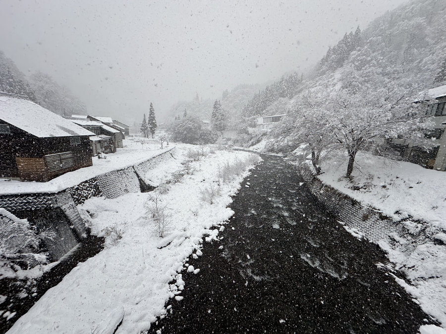 【Check-In文學現場】川端康成篇之三《雪國》(下):越後雪世界:雪中蟄居、過街雪洞、縐布曬雪