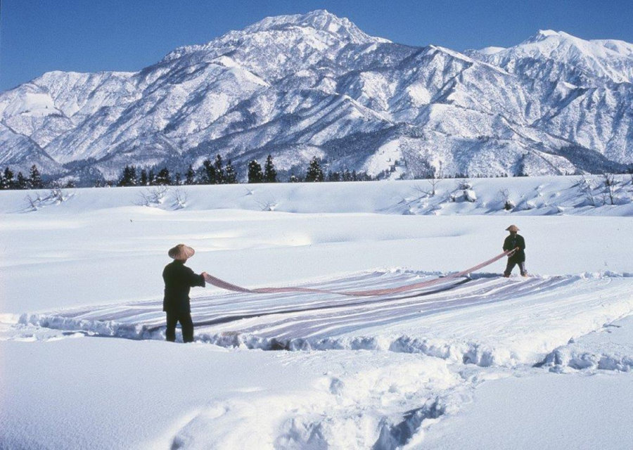 【Check-In文學現場】川端康成篇之三《雪國》(下):越後雪世界:雪中蟄居、過街雪洞、縐布曬雪