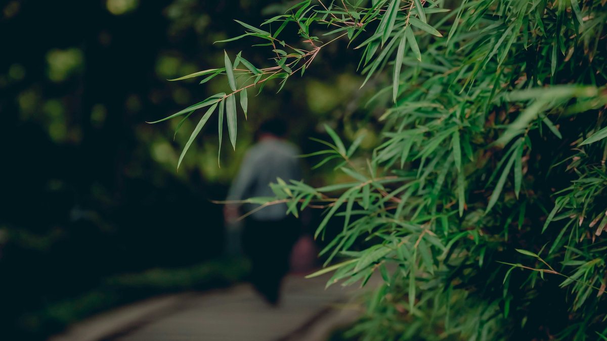 【讀者舉手】團聚才是自我認同的開始:《竹林姊妹》