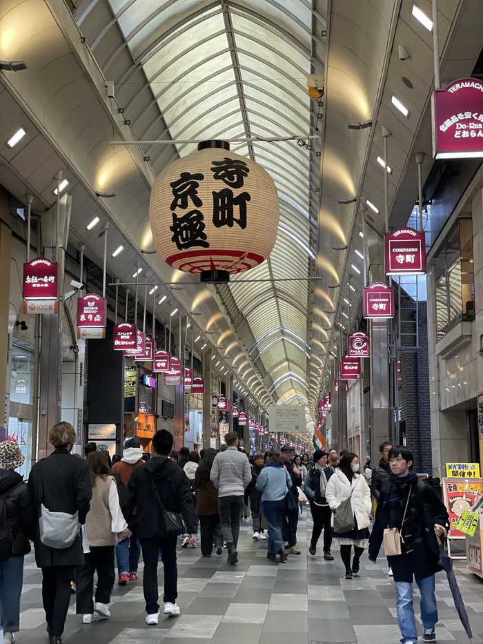 【Check-In文學現場】川端康成篇之四《古都》:願,擁有一顆與北山杉一樣的心