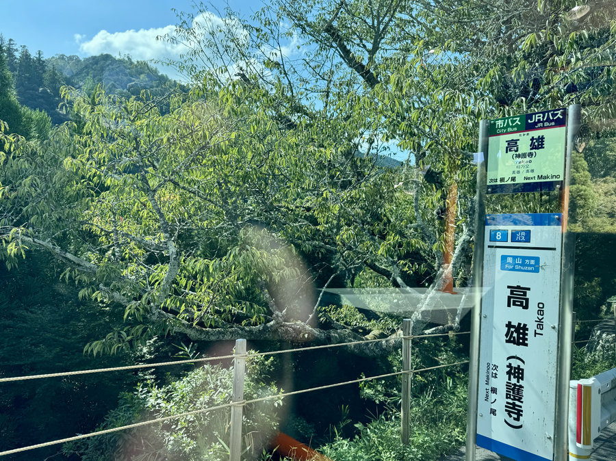 【Check-In文學現場】川端康成篇之四《古都》:願,擁有一顆與北山杉一樣的心