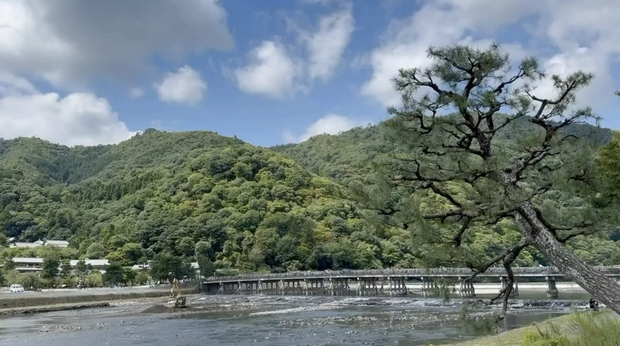 【Check-In文學現場】川端康成篇之五《美麗與哀愁》:旋轉的心,戀人宿命的迴旋曲