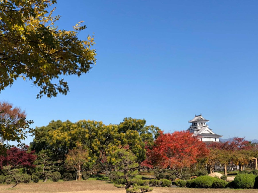 【Check-In文學現場】番外篇五「岐阜」