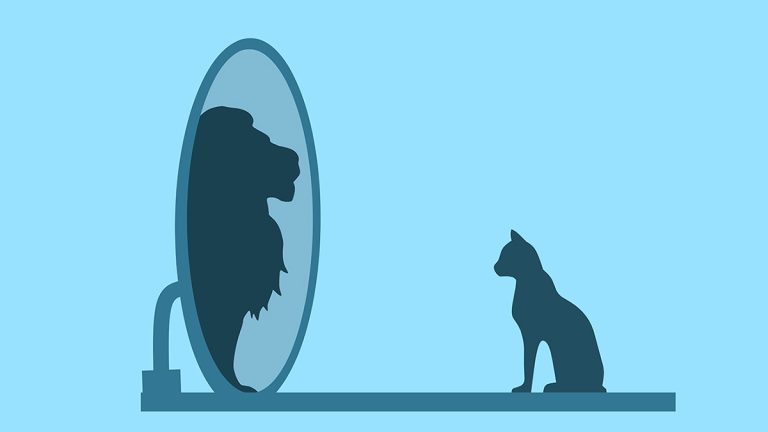 告別自我滿意：客戶才是你最清晰的成長之鏡