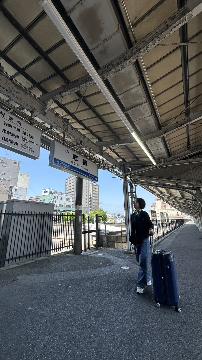 【Check-In文學現場】彥根市、彥根城、彥根城博物館