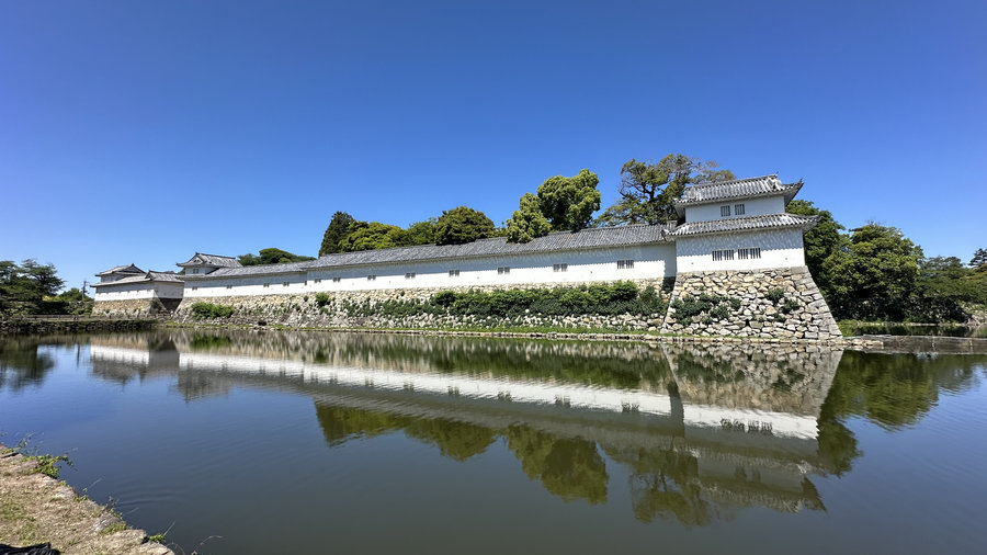 【Check-In文學現場】彥根市、彥根城、彥根城博物館