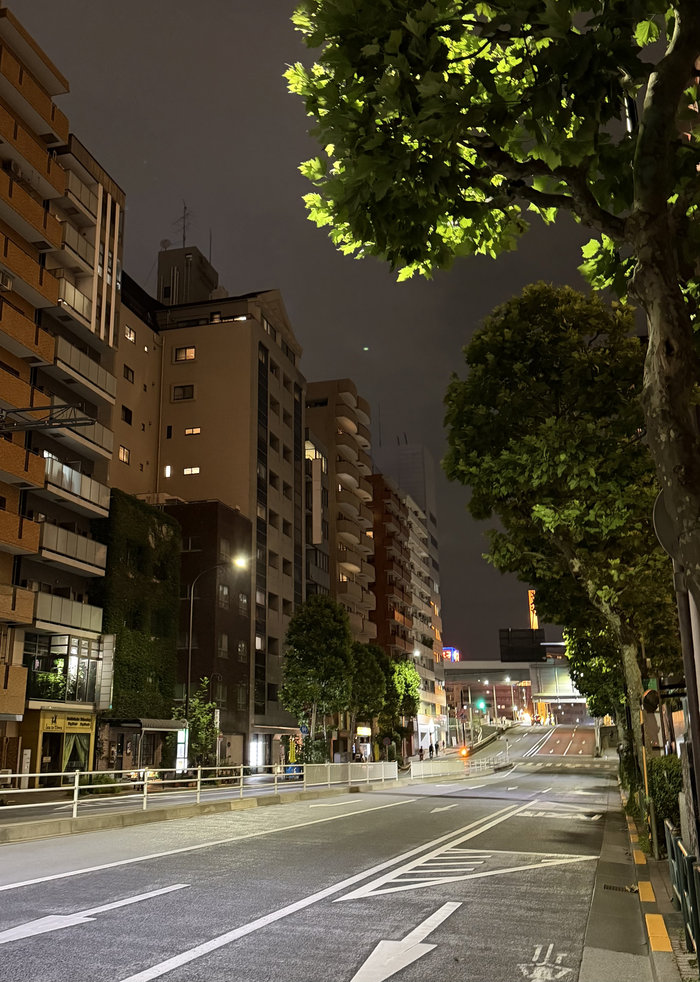 【Check-In文學現場】新大橋、清洲橋、濱町、甘酒橫丁、小傳馬町