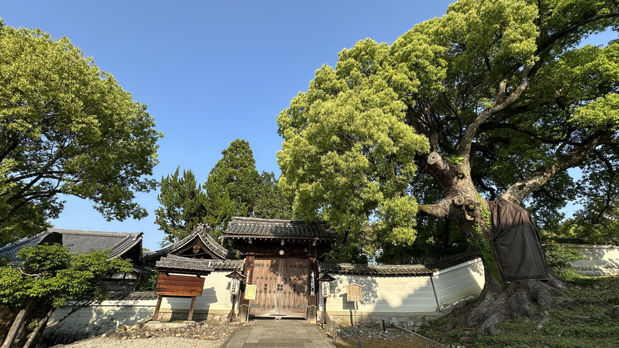 【Check-In文學現場】文豪在京都:芥川龍之介篇一