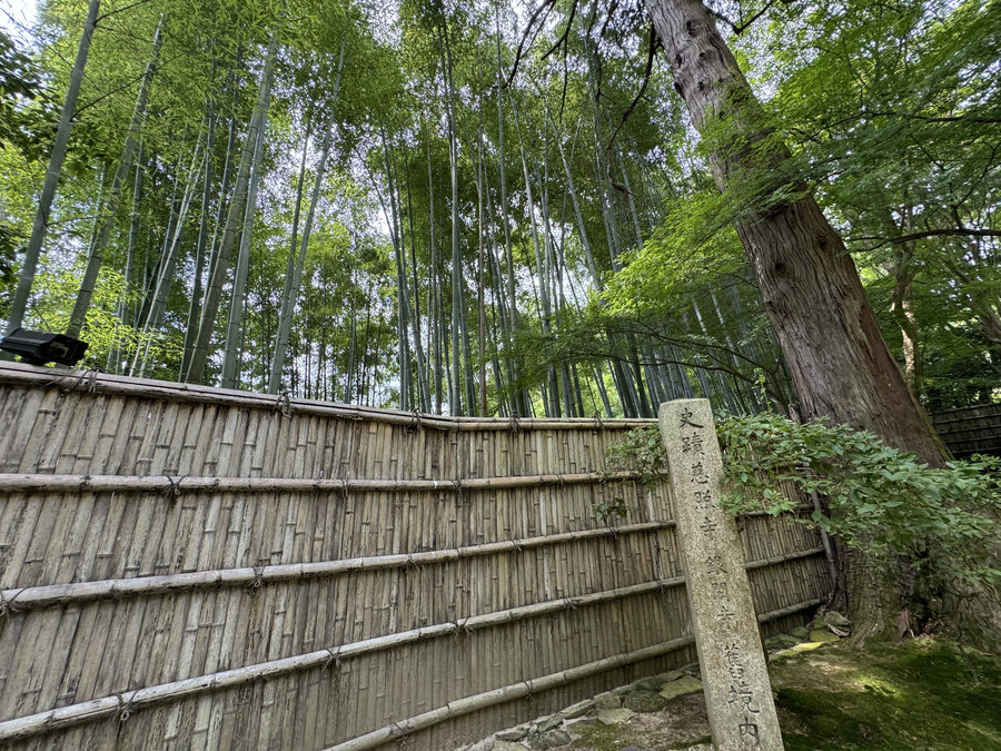 【Check-In文學現場】文豪在京都:芥川龍之介篇二